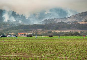 As wildfire threat grows, California Farm Bureau urges congressional action