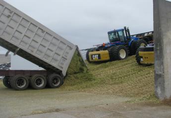 Drought-stressed Corn Silage Produces Nutritional Changes