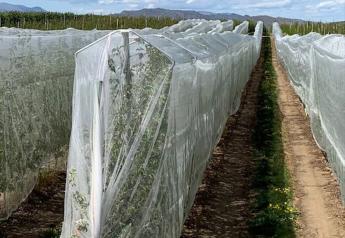 Drape Net gives crops a layer of protection