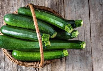 The Fresh Factor: 5 ways zucchini will surprise you 