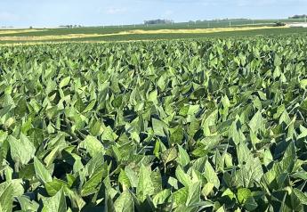 Soybeans Start the Week Off Strong