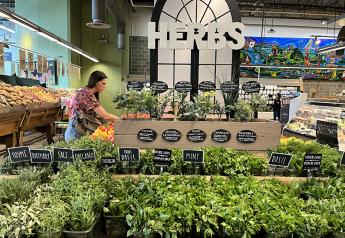 Market Crush: A haven for the food obsessed, produce is where Central Market shines