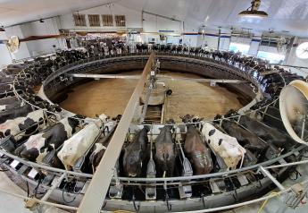 U.S. Milk Production Report Illustrates 44,000 Fewer Cows Year-Over-Year 