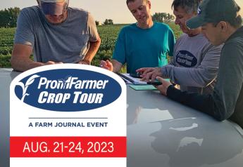 Expect to See White Mold, SDS and Gall Midge on Pro Farmer Crop Tour