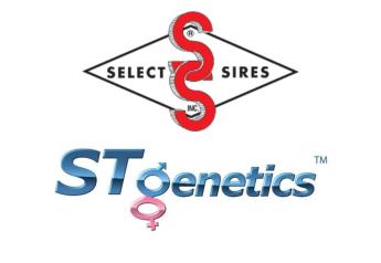 Select Sires Inc. and STgen™ Sign Letter of Intent to Create New Company