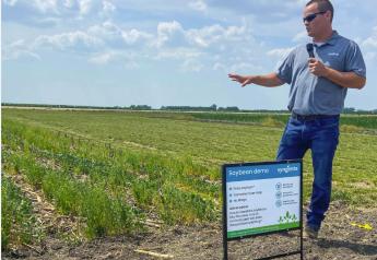 Syngenta Seeds, Sustainable Oils Announce Commercial Agreement to Sell Camelina Seed 