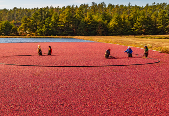 USDA says cranberry marketing order voted out