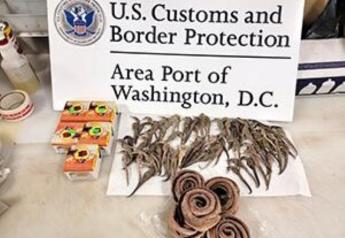 Agents Seize Snake Oil and Prohibited Pork at Dulles Airport