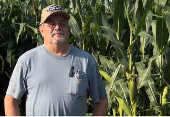 'No Monster Yields' but Nebraska Irrigated Corn has Above-Average Potential