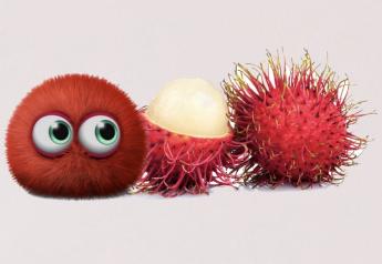 Marketing to young families with Ramboos, the rambutan