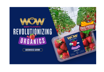 Sunset to launch Ohio-grown organic strawberries at IFPA show