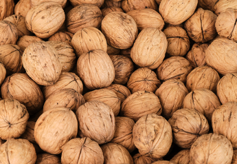 California walnut industry crop estimate up 5% from a year ago