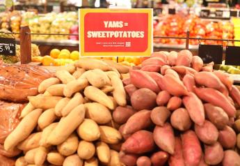 Yam equals sweetpotato, new campaign tells consumers