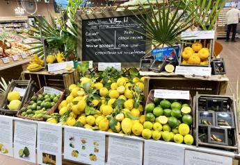 Merchandising inspiration: Level up those lemon sales