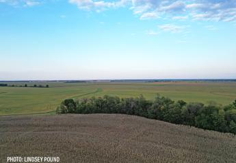 Iowa farmland values plateau after two years of record highs