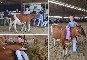 Illinois Teenager with Cerebral Palsy Shines Big in the Dairy Showring