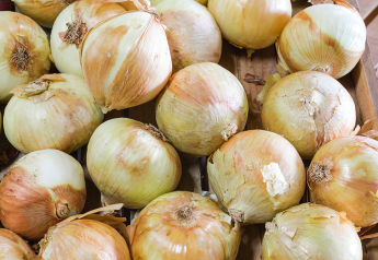 A look at Bland Farms' transition to Peruvian onions