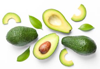Cotija Avocados sees room to grow