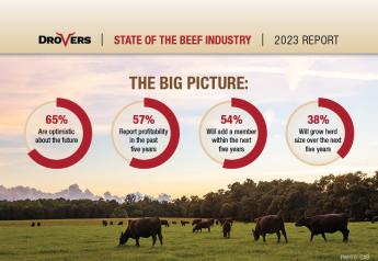 Survey Reveals Key Insights: What Are Cattle Producers Focusing On Now?