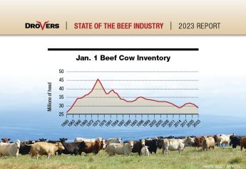 Cattle Market Signals: High Costs, Projected Profits and Beef Demand