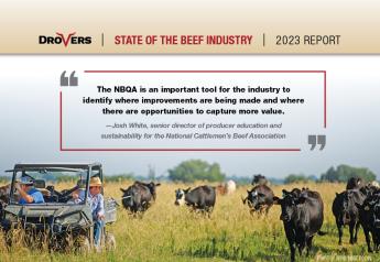 What The 2022 National Beef Quality Audit Says About The Cattle Industry
