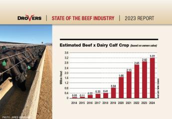 Beef-on-Dairy: A Revolution in American Beef Production?