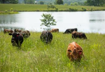 Quantifying the Value of Good Ranch Management  