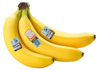 Equifruit drives Fairtrade-certified banana sales