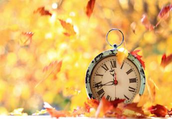 Fall: A Good Time to Wrangle Your Time