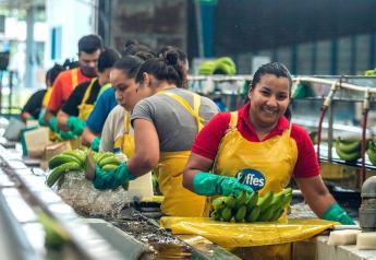Fyffes issues second sustainability report