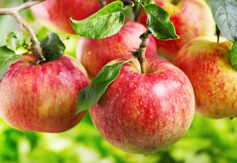 Keystone Fruit Marketing kicks off Eastern apple season