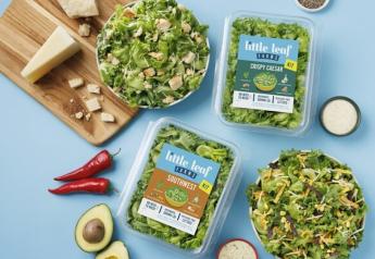 Little Leaf Farms expands into new product category with salad kits