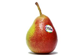 New pear variety gains licensing to enter U.S. market