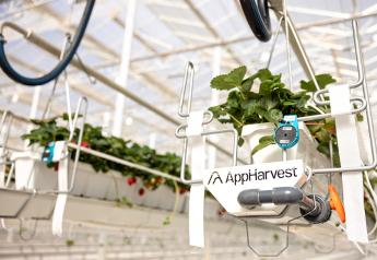 Bosch Growers to acquire AppHarvest berry and cucumber farm