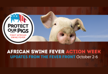 USDA's Third Annual African Swine Fever Action Week Set to Begin Oct. 2