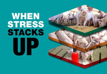 When Stress Stacks Up: The Secret to Weaning Success