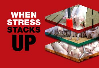 When Stress Stacks Up: It’s Time to Make Weaning a Better Experience