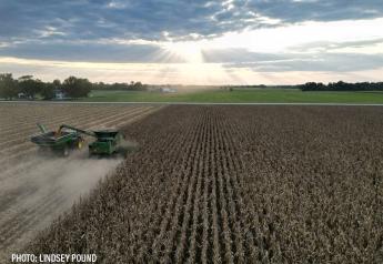 IGC Raises Global Corn, Wheat and Soybean Production Forecasts