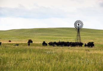 Nebraska Farmer-Led Field Day is Friday