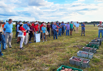 Research Field Day highlights sweetpotato commission's upcoming events