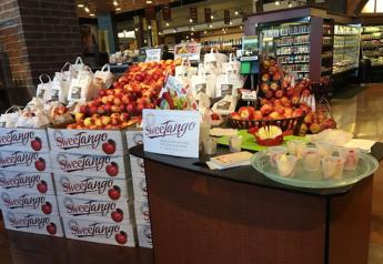 SweeTango apples hitting the market