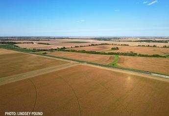 Iowa Farmland Values Post 4% Gain in 2023