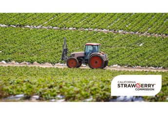 California strawberry growers track sustainability strides