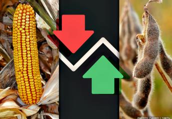 Why Aren't Corn and Soybean Prices Sinking With the Lack of Positive News?