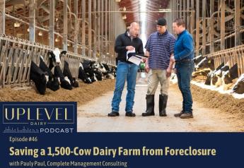 The One Phone Call that Saved a Dairy, and a Dairy Farmer