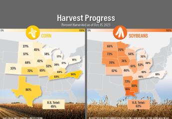 Harvest Update: Corn and Soybean Progress Ahead of Average