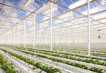 Ever Tru Farms enters the U.S. market with Kentucky greenhouse collaboration