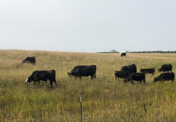 Fall Grazing Use Influences Spring Forage Production