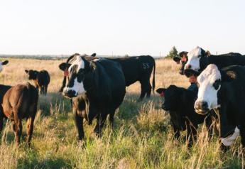 Range Beef Cow Symposium This Week in Colorado