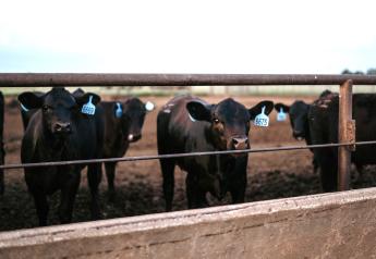  Novel Technology to Treat BRD in Calves Reenters Marketplace 